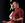 Cody De Arkland photo